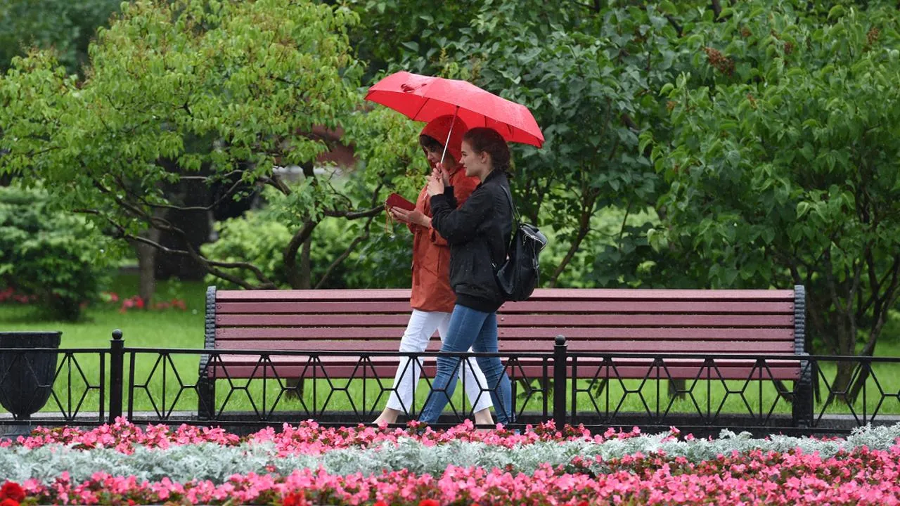 медиасток.рф