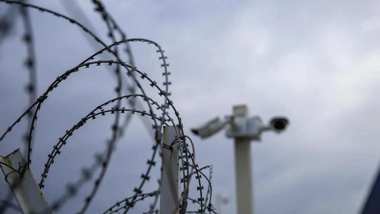 Фото: istockphoto.com/aydinmutlu