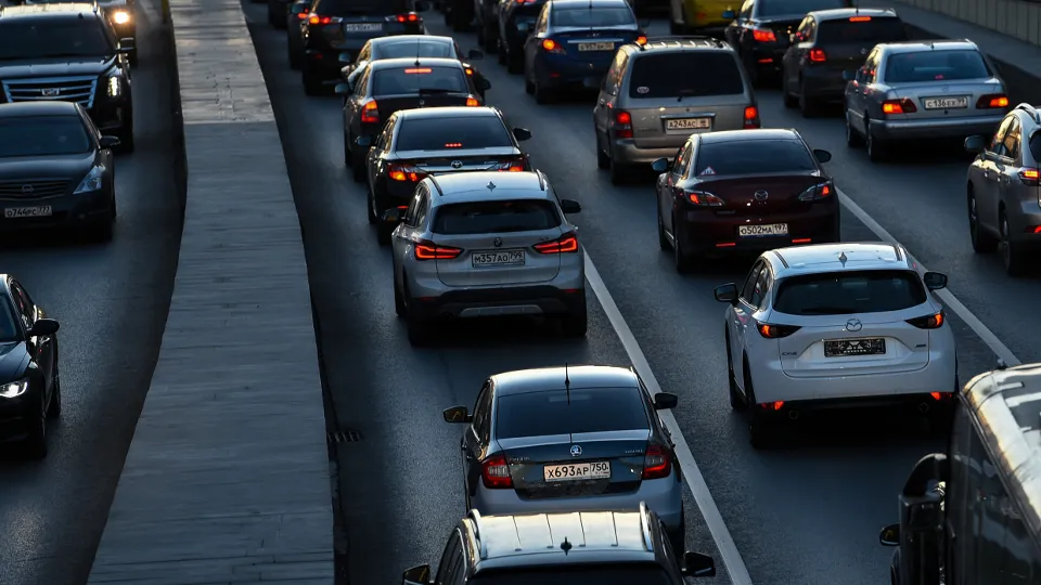 Фото: Медиаархив Подмосковья