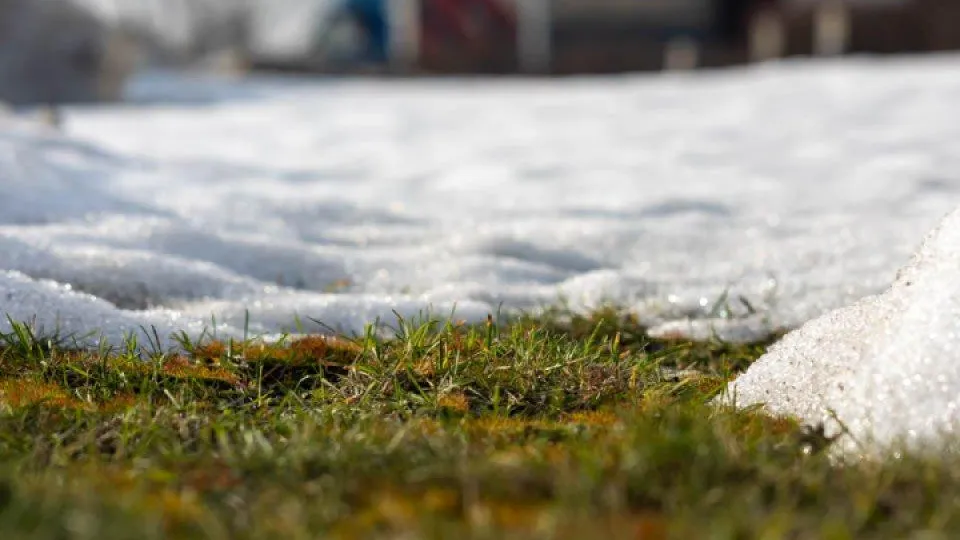 REGIONS/Владимир Ерастов