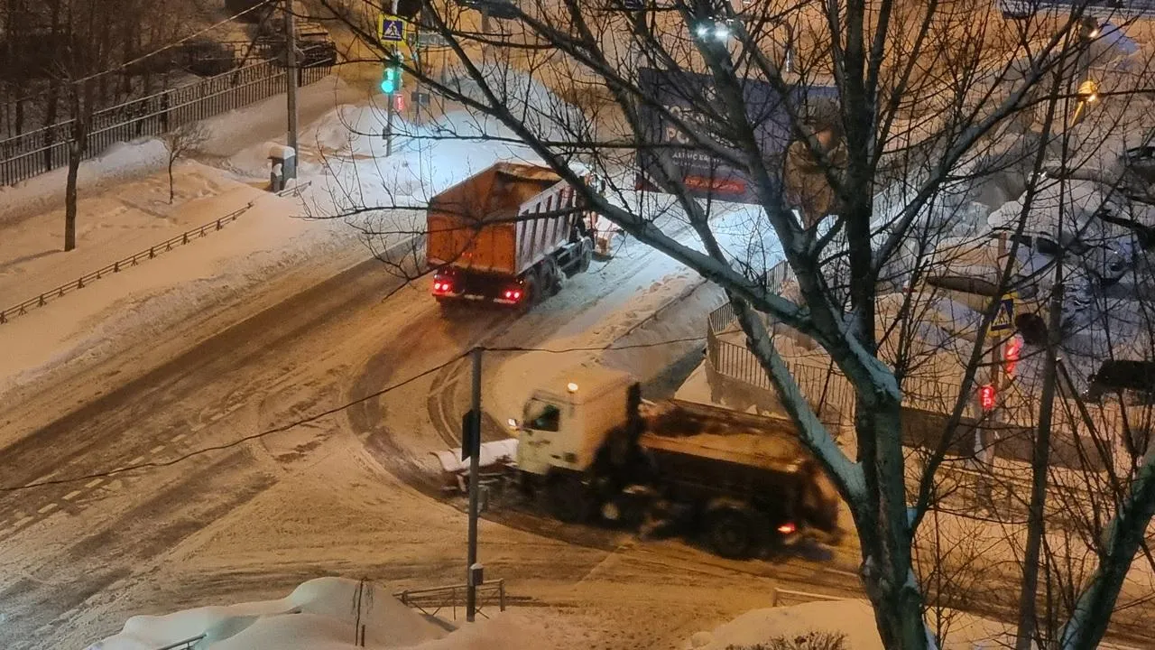 REGIONS/Юлия Алабина