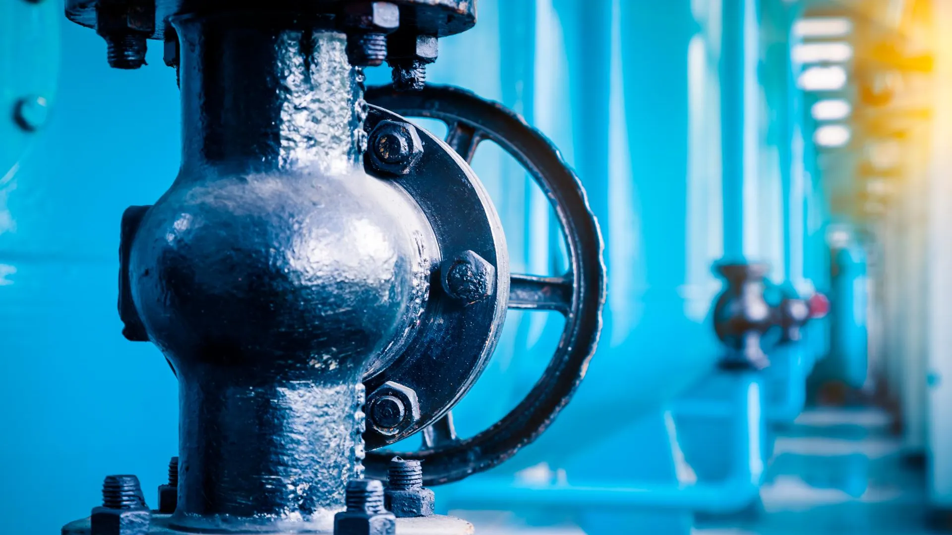 Фото: ru.freepik.com