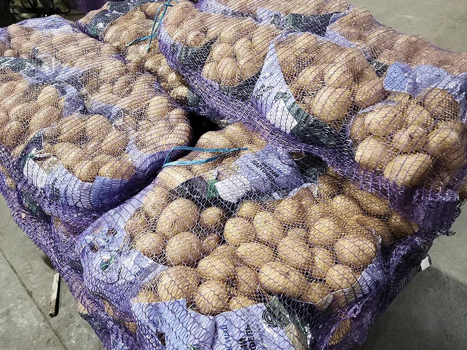 Фото: МедиаБанк Подмосковья/Юлия Андросова