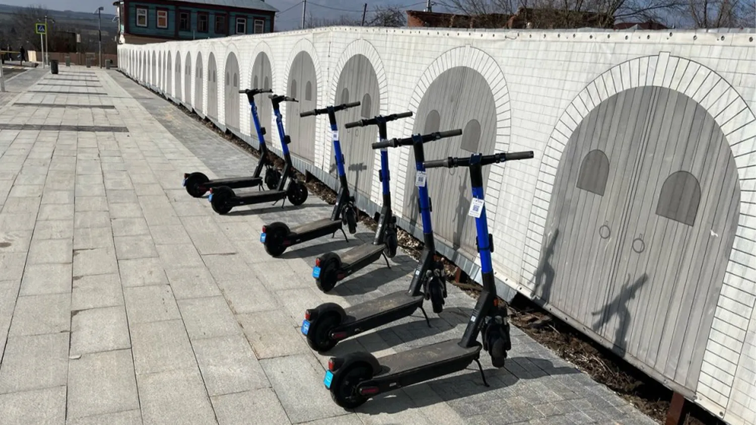 Фото: Максим Потемкин