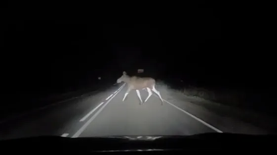 Фото Минэкологии