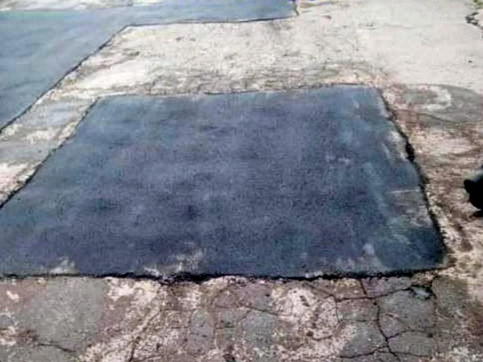 Фото: Пресс-служба администрации городского округа Мытищи