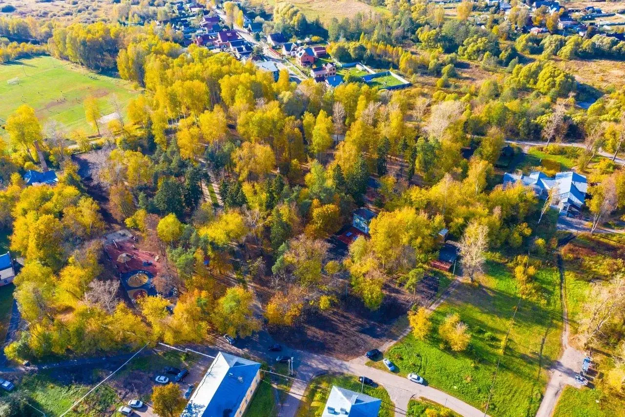 Фото: Министерство благоустройства Московской области