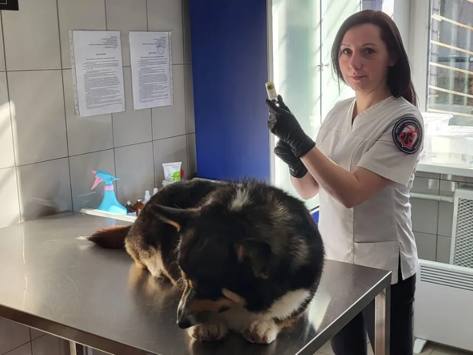 Фото: Министерство сельского хозяйства и продовольствия МО