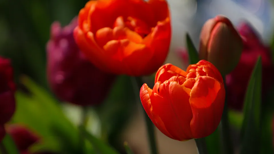 Фото: REGIONS/Наталия Надточая