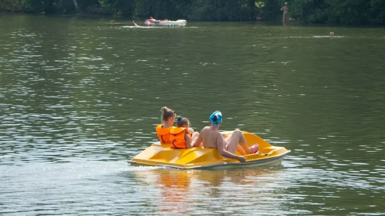 Фото: Министерство благоустройства Московской области