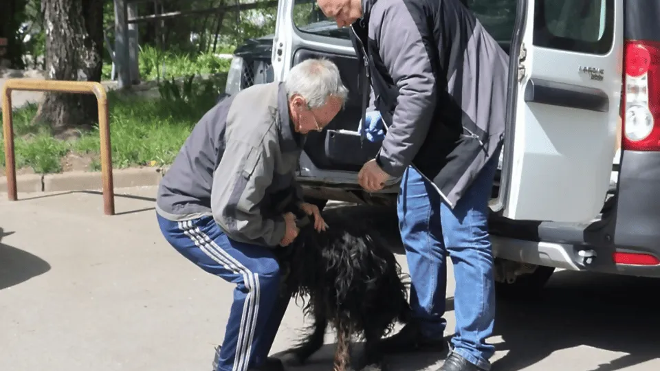 Фото: Администрация Пущино