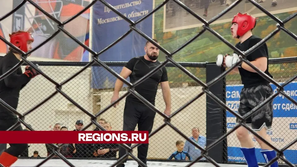 Фото: Юлия Воробьева