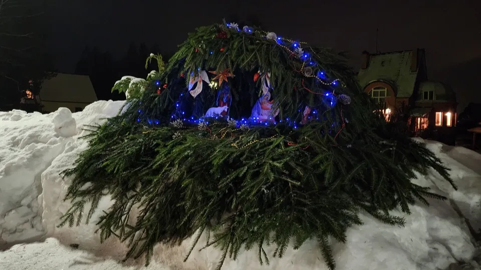 Фото: МедиаБанк Подмосковья/Иван Петрушин