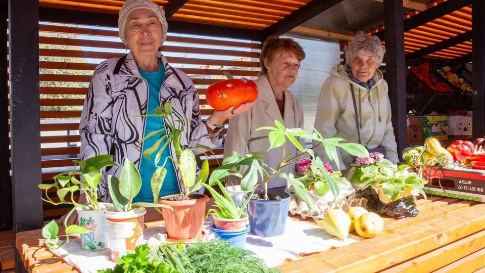 Фото: пресс-служба администрации г. о. Подольск