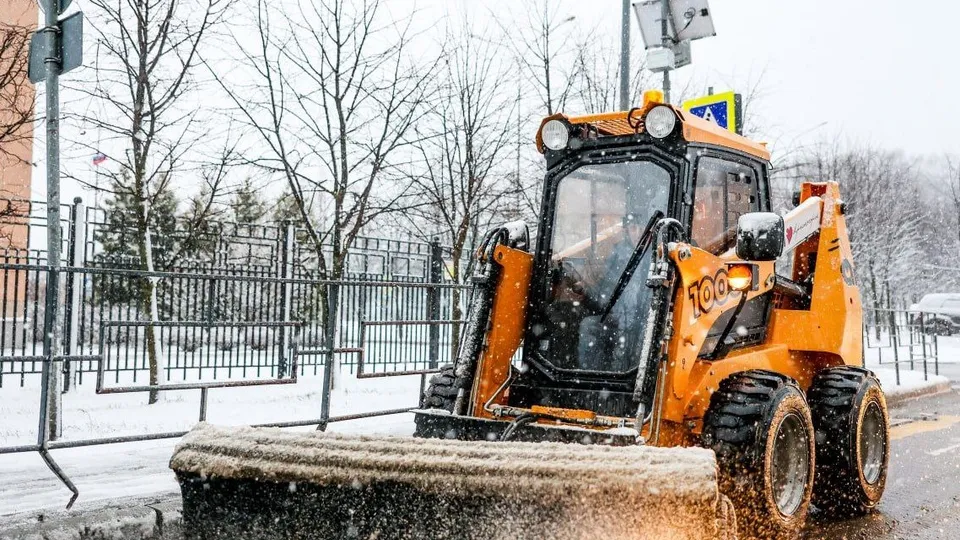 Фото: пресс-служба администрации г.о. Красногорск