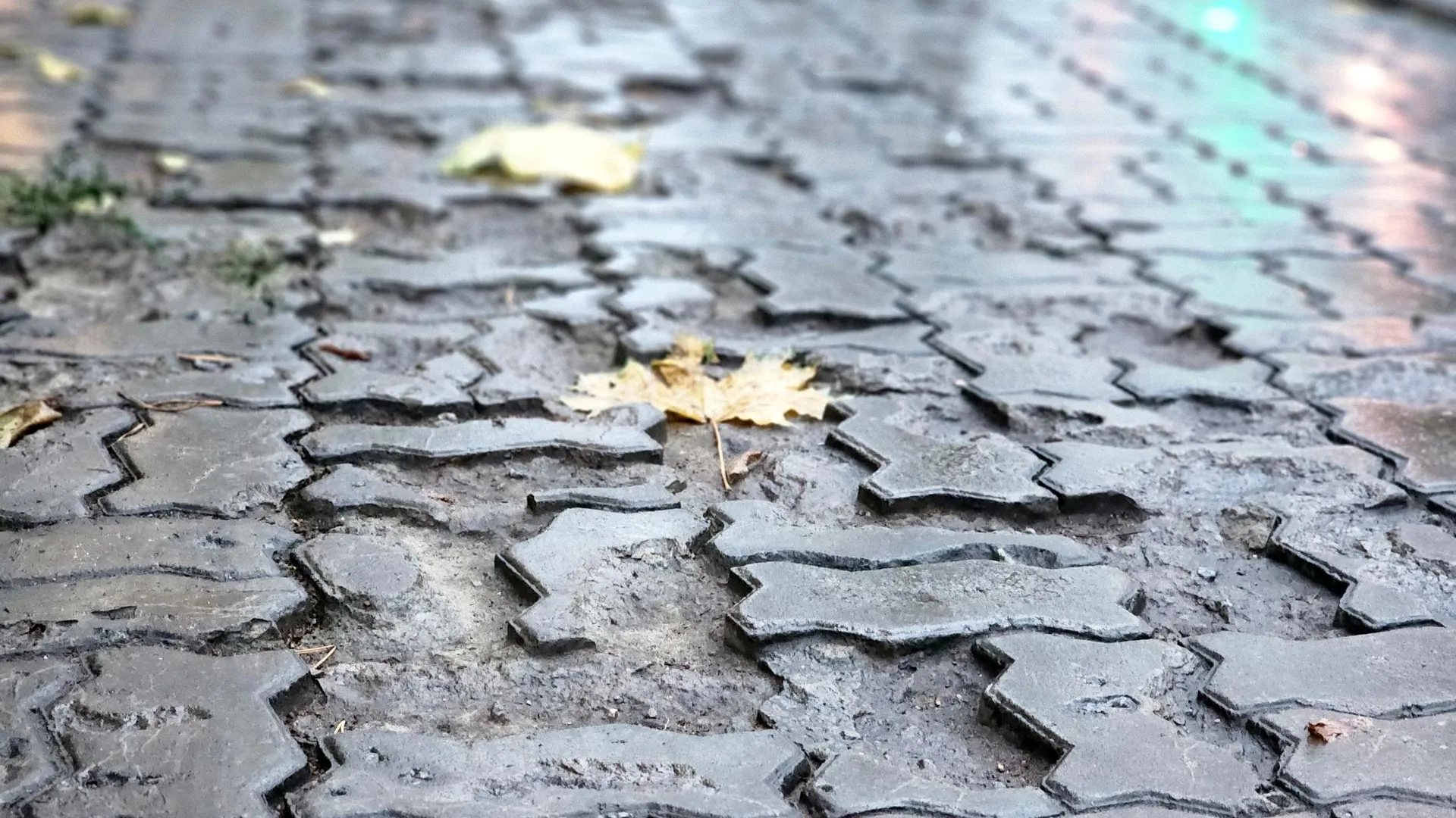 Фото: REGIONS/Полина Пахомова