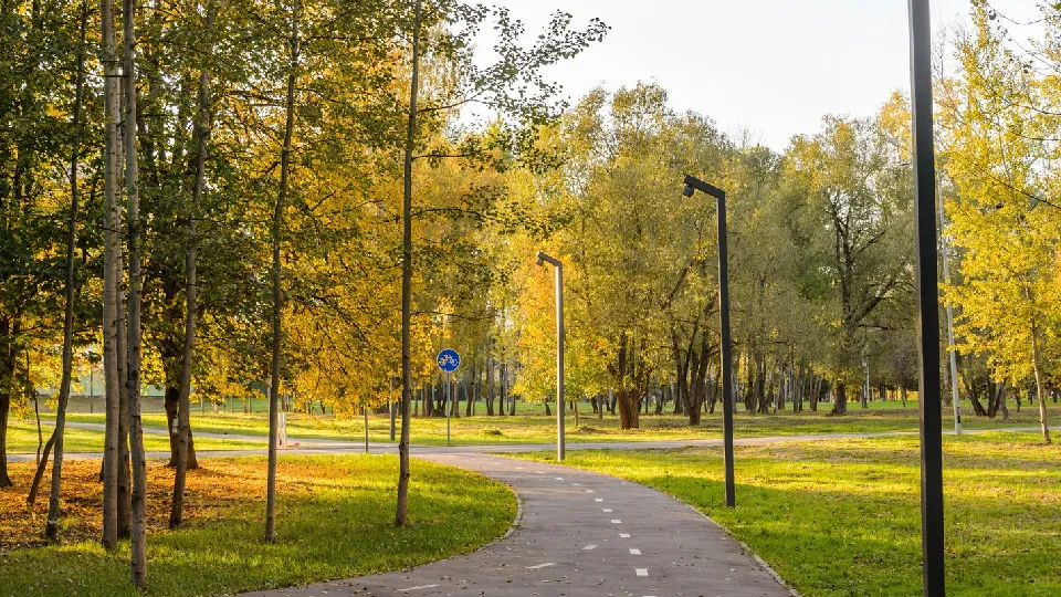 Фото: медиасток.рф