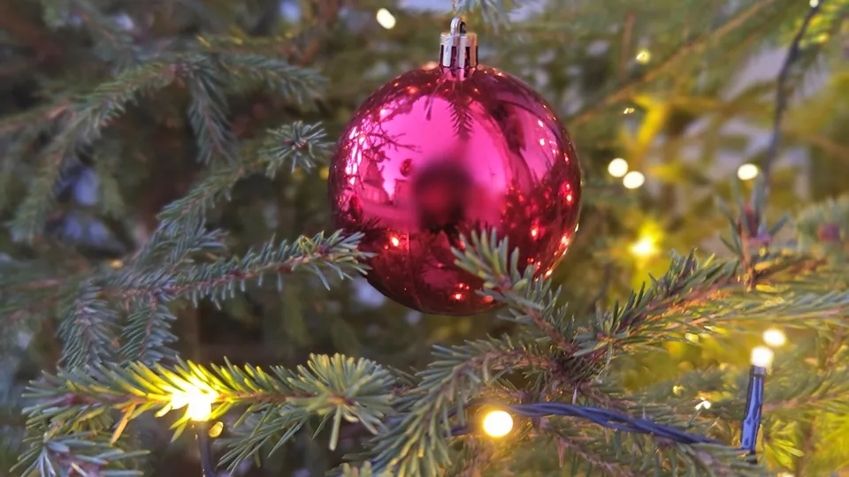 Фото: REGIONS/Алексей Селиверстов