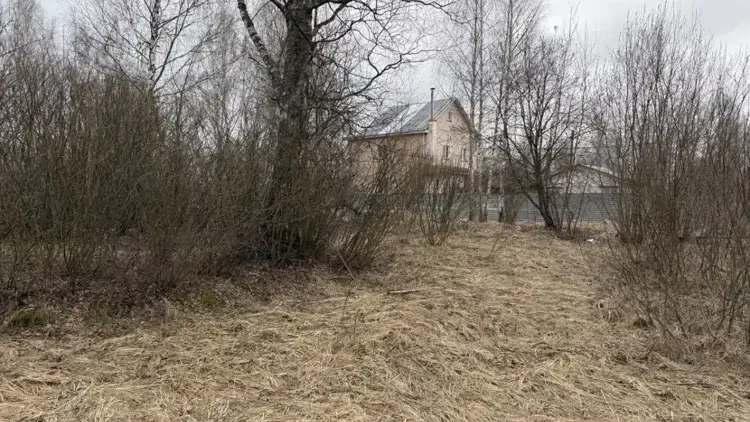 Участок на торгах в Орехово-Зуевском округе