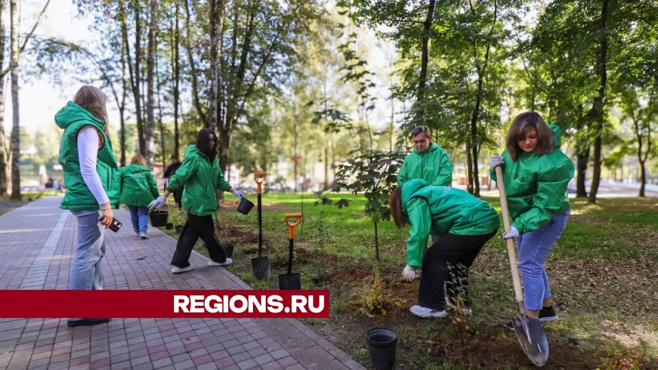 Фото: Данила Кирьянов