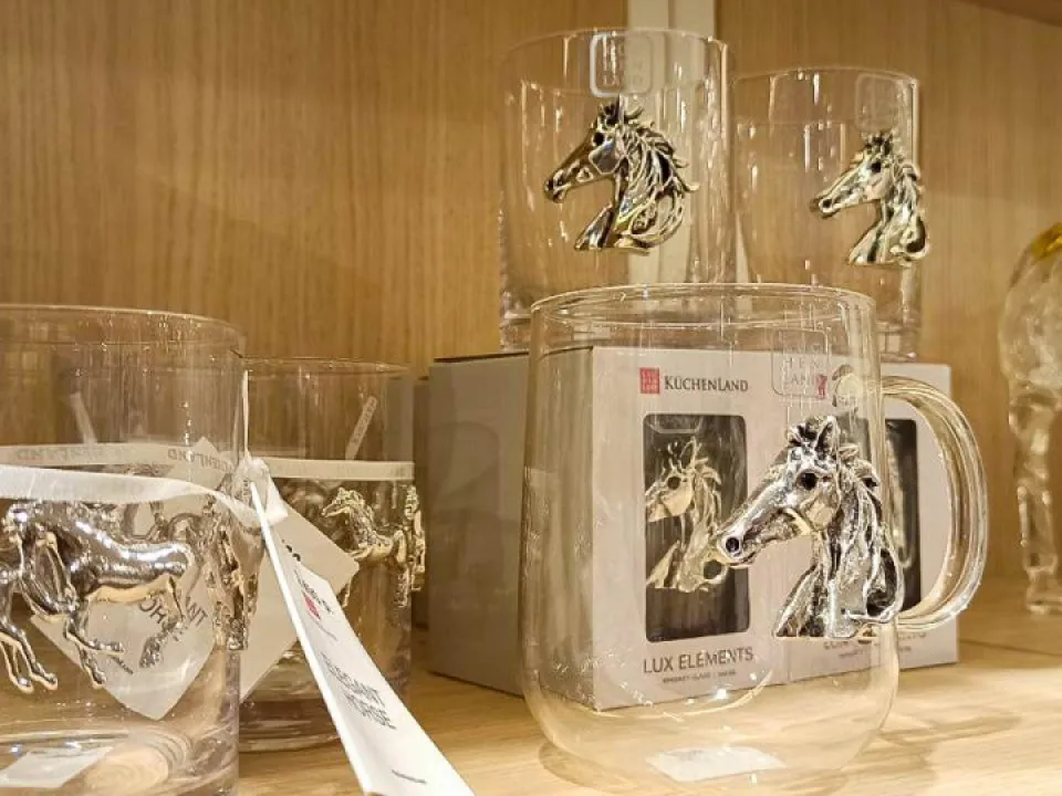 Фото: REGIONS/Эльвира Сафина