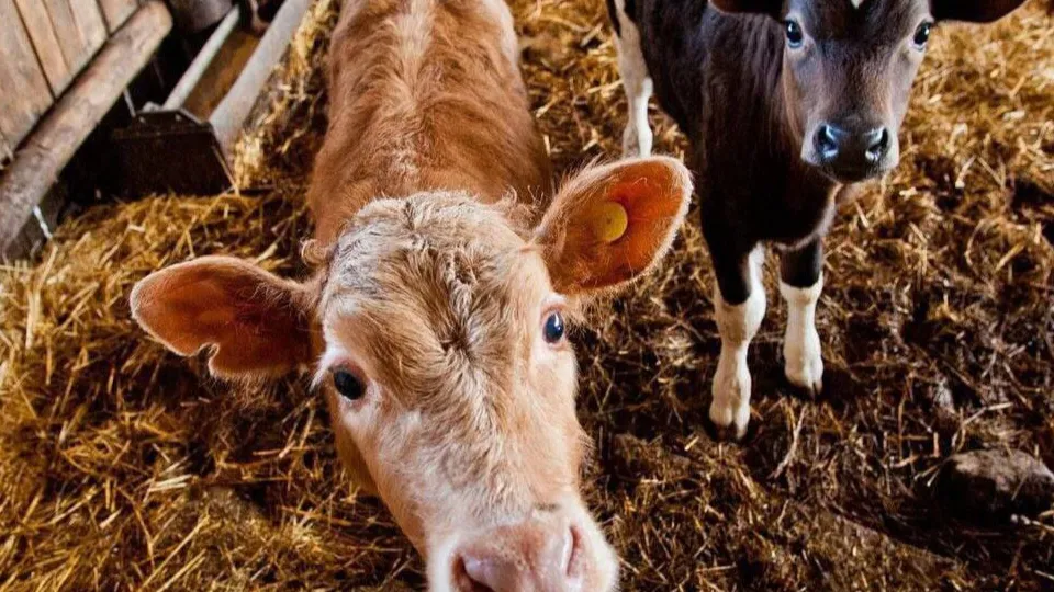 Фото: Министерство имущественных отношений Московской области