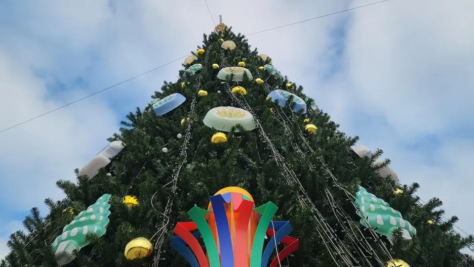 Фото: Министерство благоустройства МО