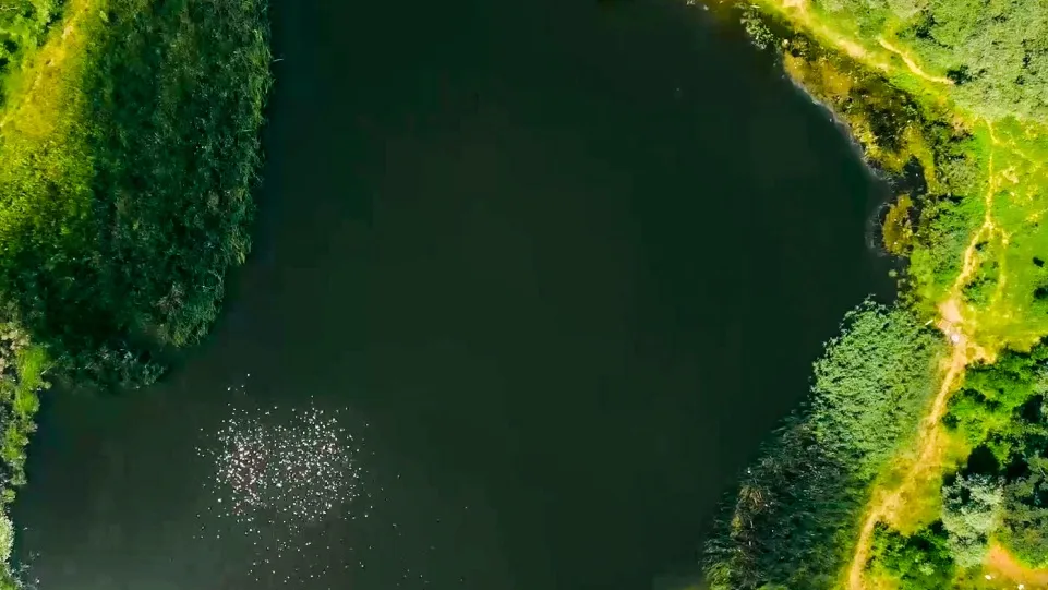 Фото: пресс-служба администрации г.о. Кашира