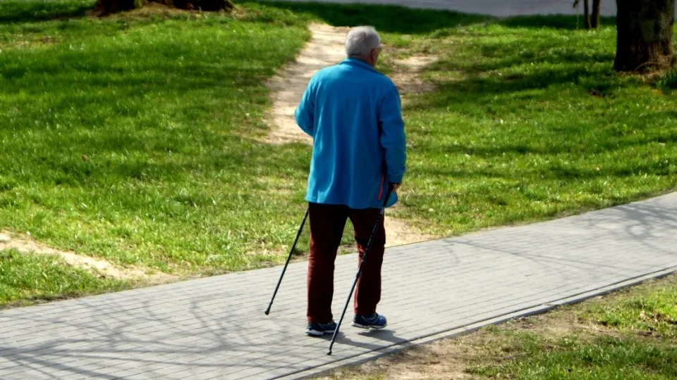 Фото: pxhere.com