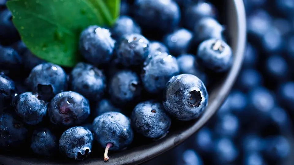 Фото: istockphoto.com