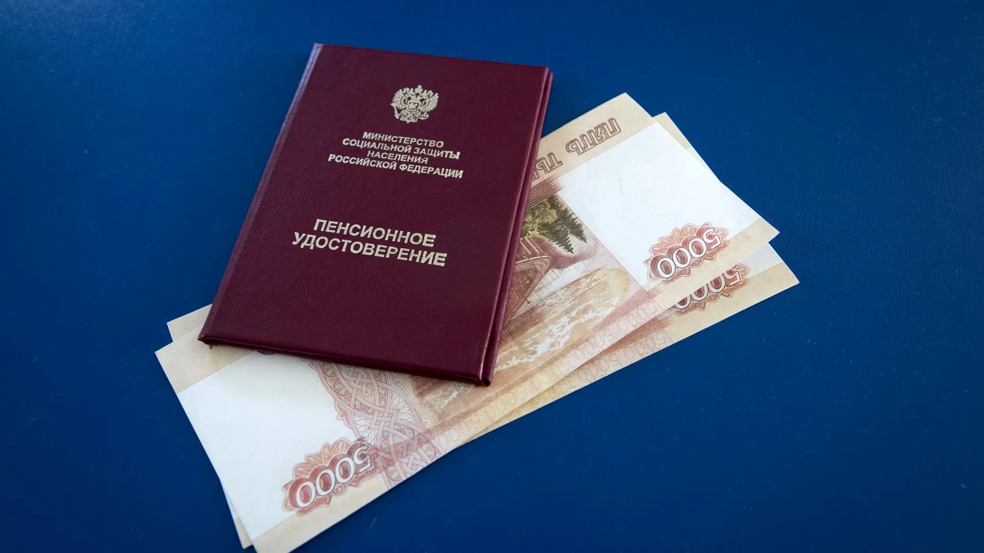 Nikolay Gyngazov/Global Look Press