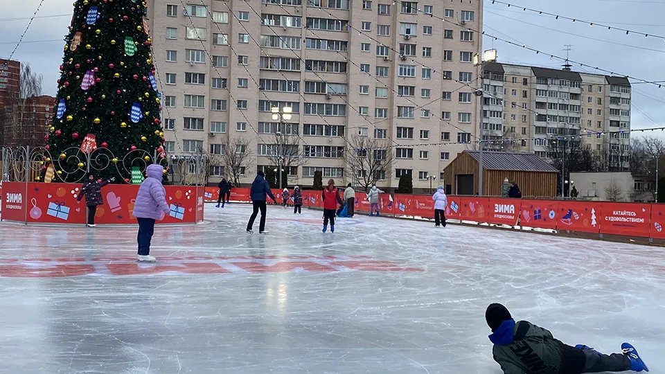 Фото: МедиаБанк Подмосковья/Морозова Екатерина