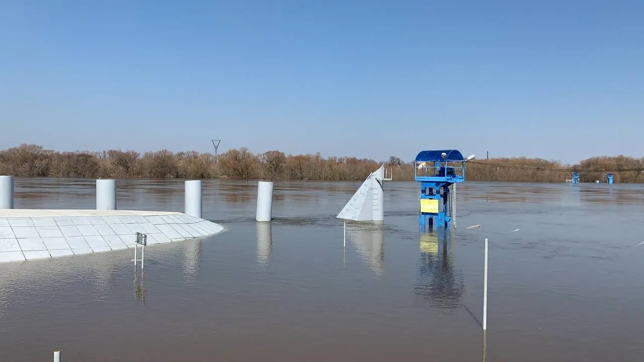 Фото: Елена Фурман