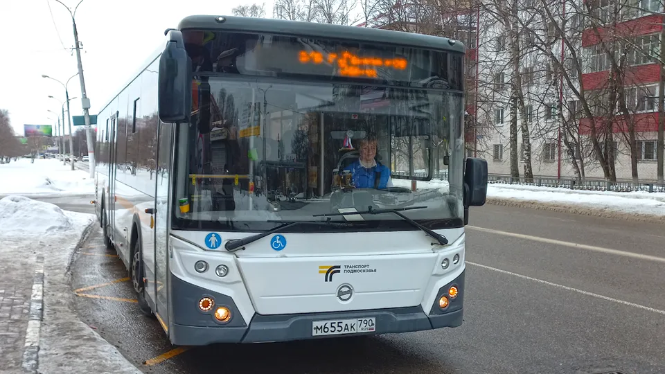 Фото: МедиаБанк Подмосковья/Ирина Миргородская