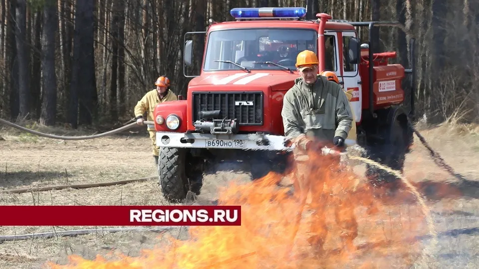 Фото: REGIONS/Александр Дрожжин