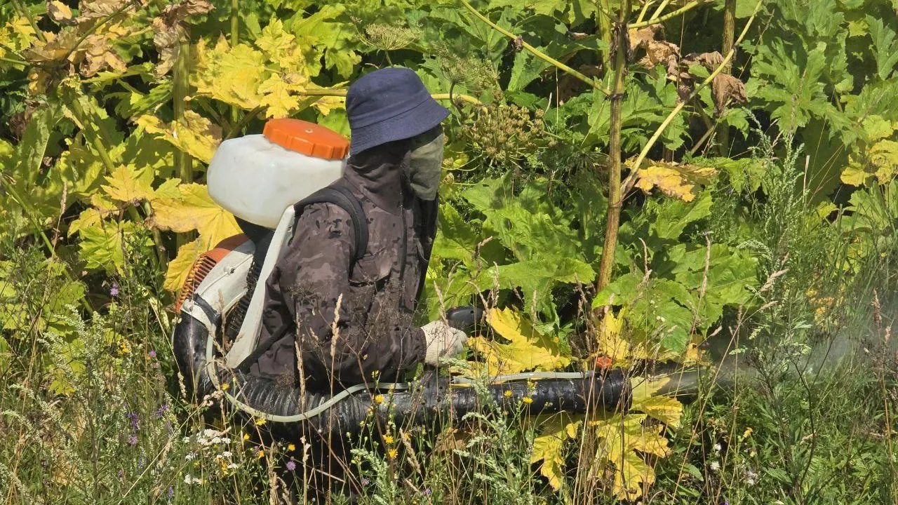 Фото: REGIONS/Яна Шаливская