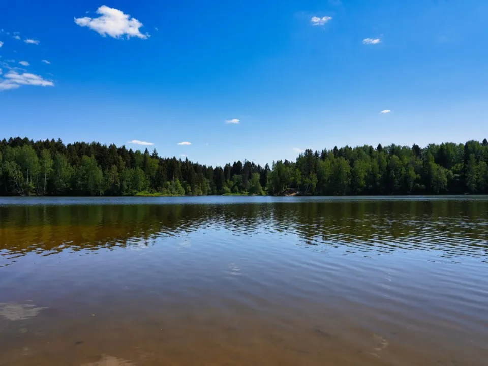 Фото: МедиаБанк Подмосковья/Дарья Леонова