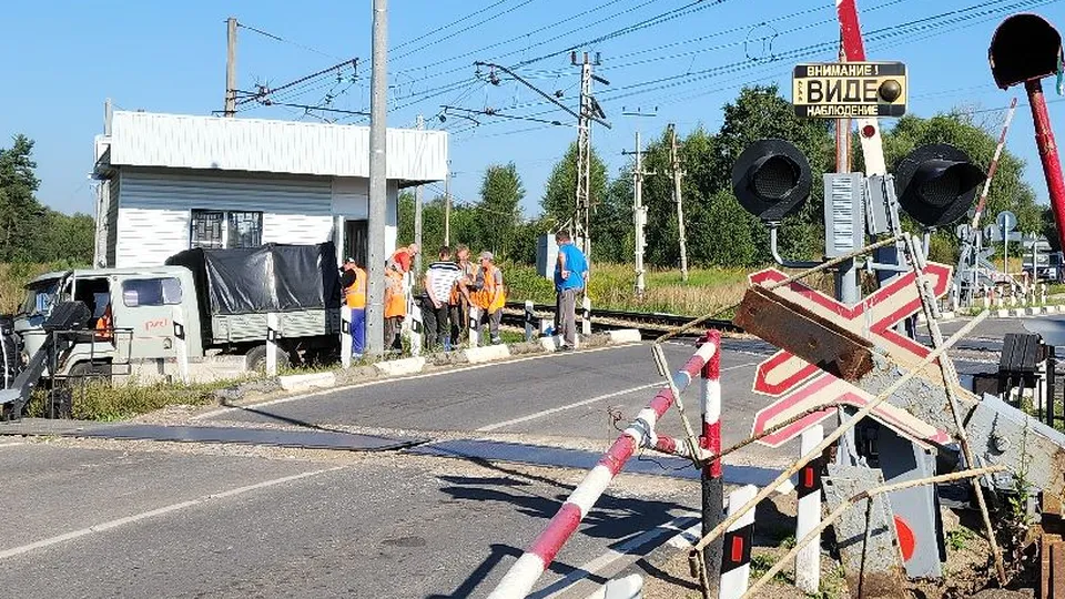 Фото: Медиабанк Подмосковья/Андрей Семибратов