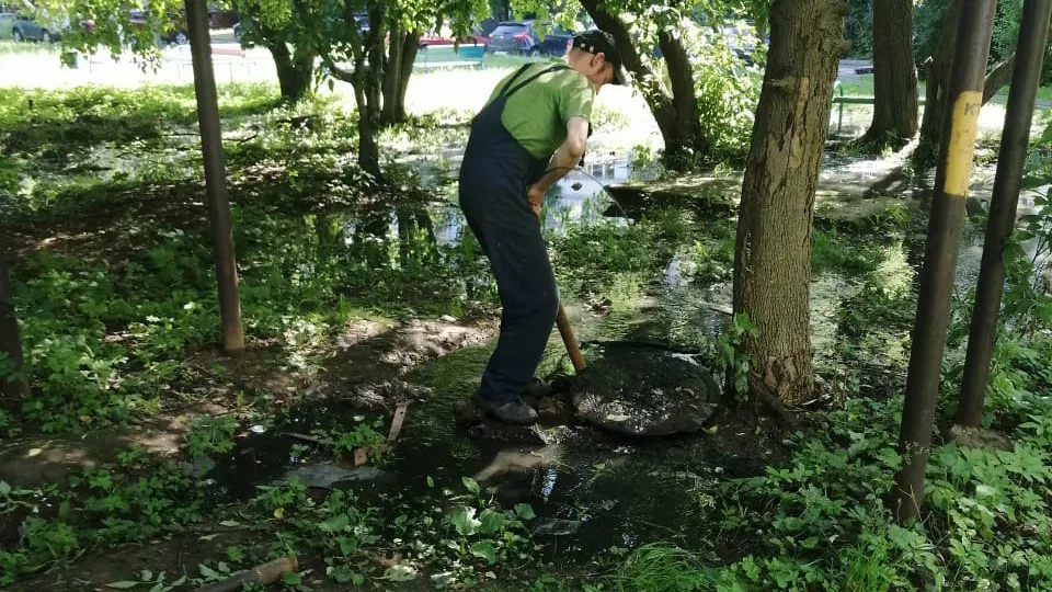 Фото: администрация г.о. Пушкинский