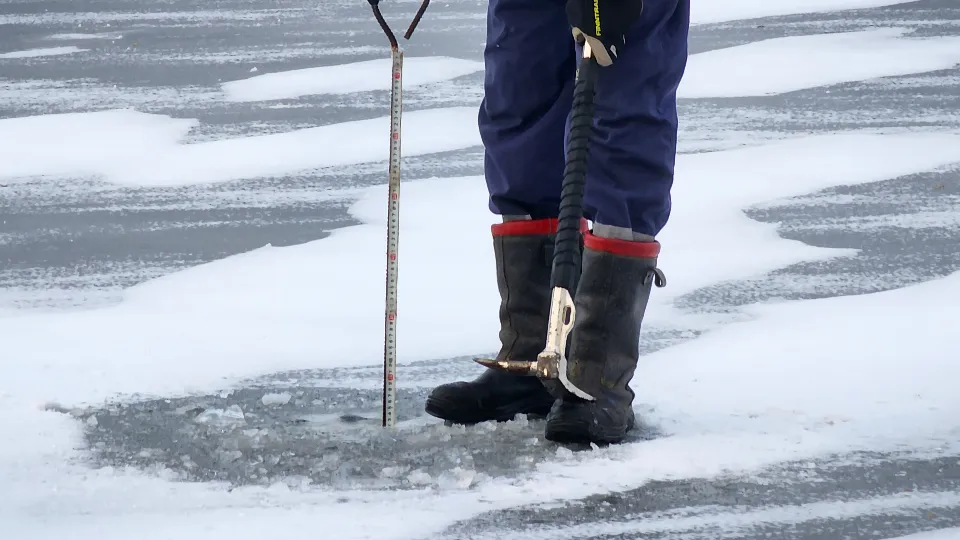 Фото: МедиаБанк Подмосковья/Ольга Антонова