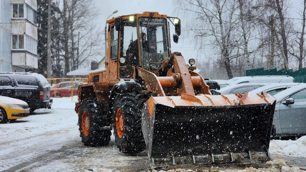 МедиаБанк Подмосковья/Екатерина Данилина