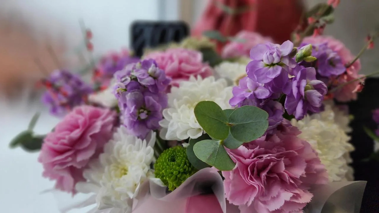 МедиаБанк Подмосковья/Екатерина Данилина