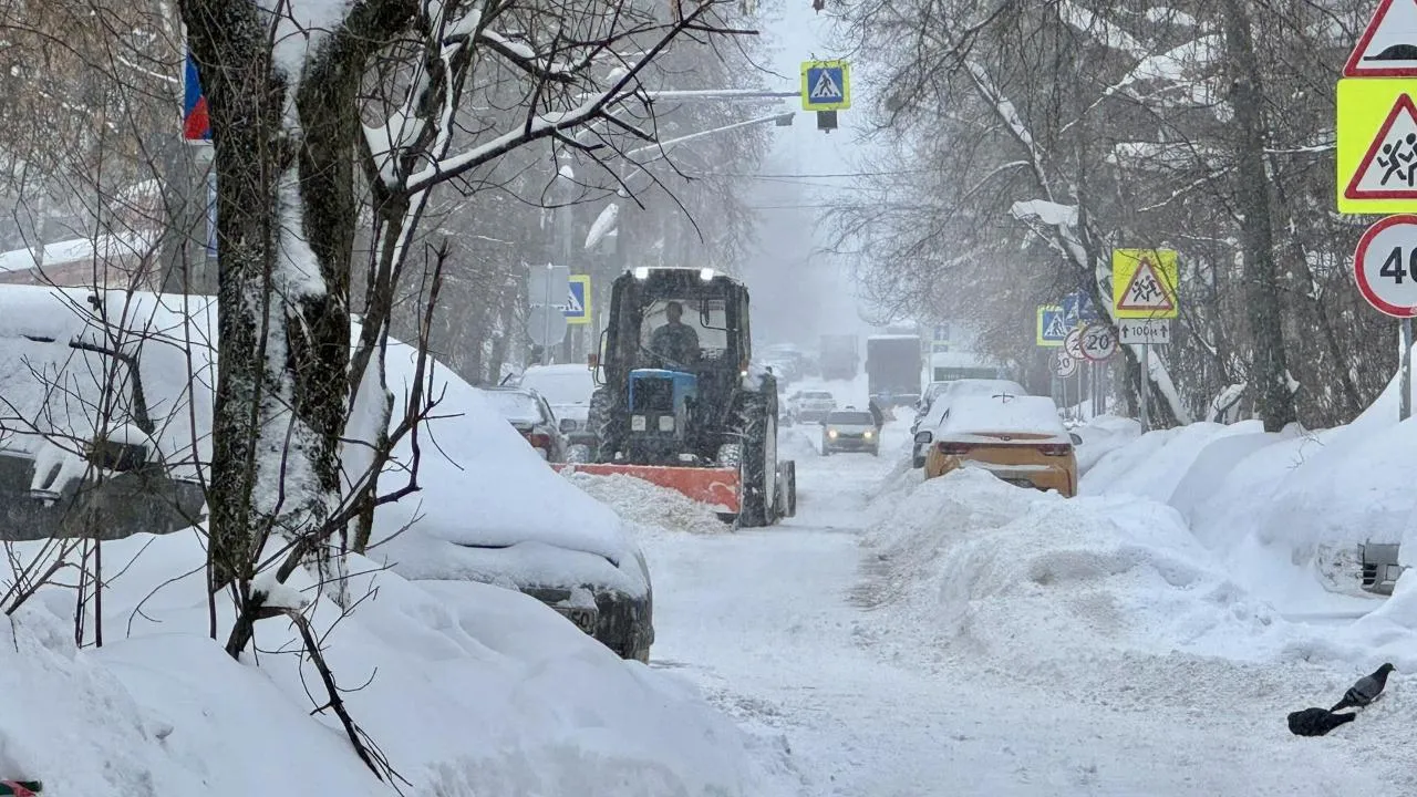 Виктория Фортуна