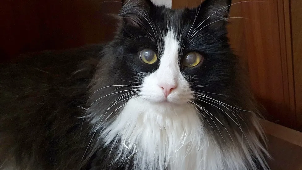 Фото: REGIONS/Александр Дрожжин