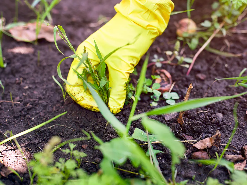 Фото: istockphoto.com