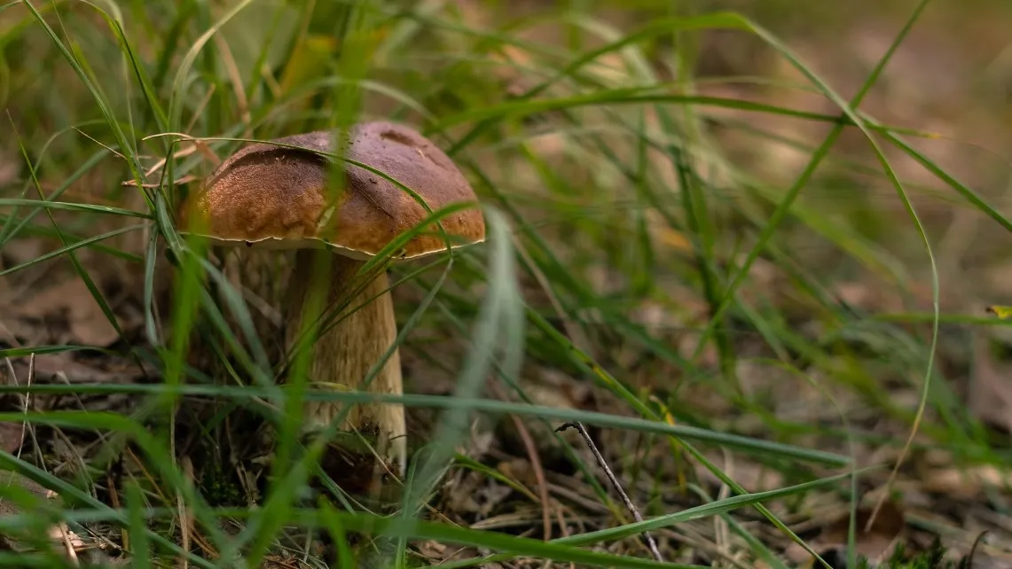 Фото: unsplash.com