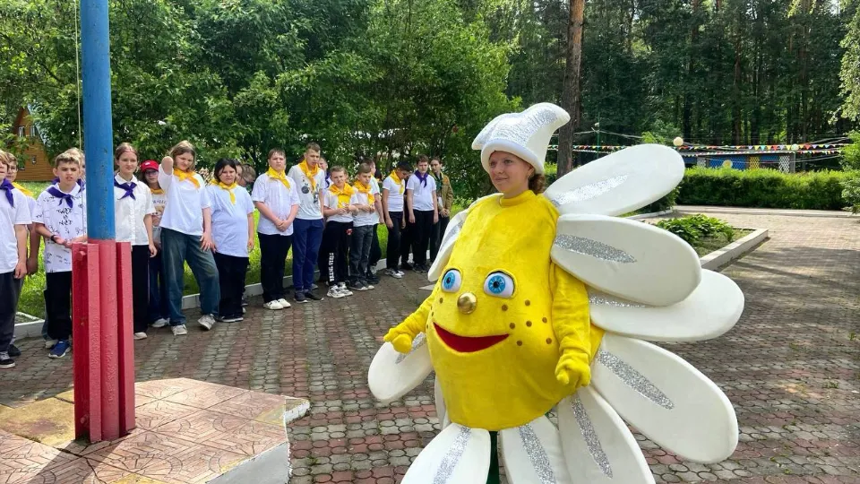 Фото: t.me/romashka_podolsk