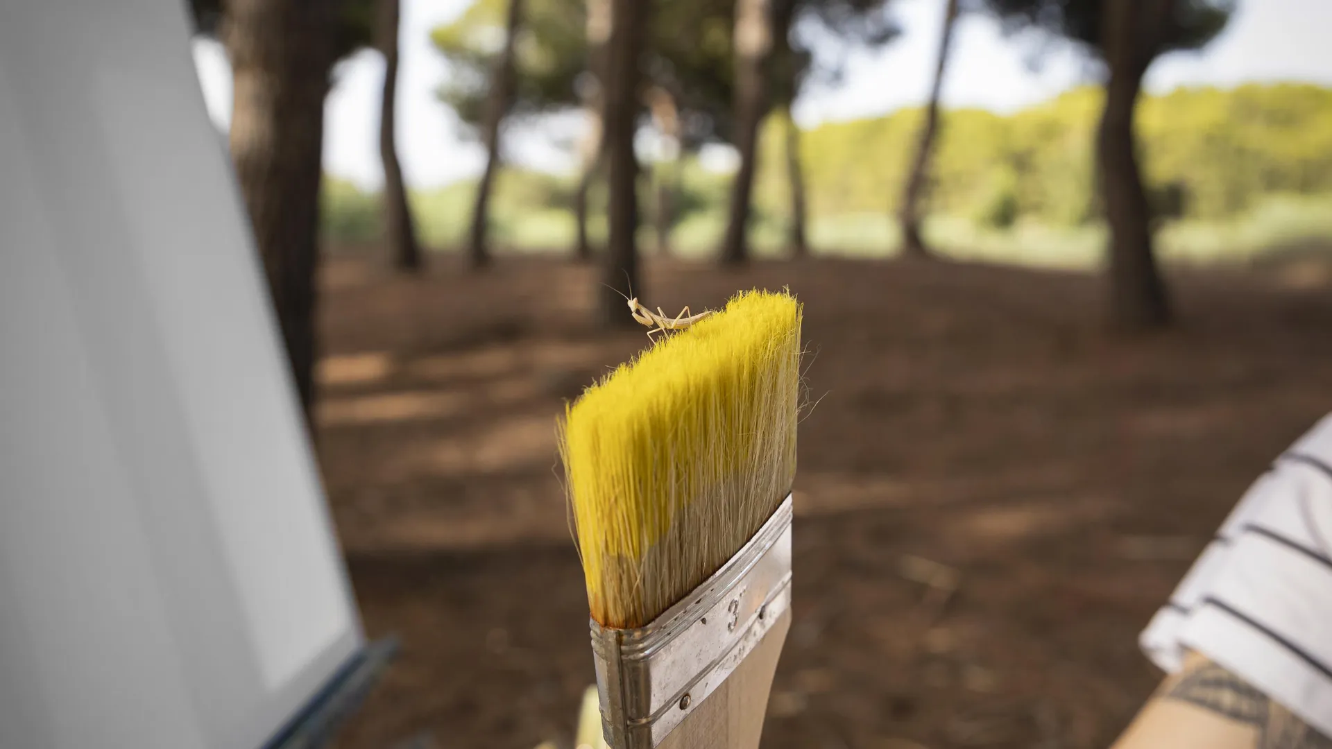 Фото: freepik.com