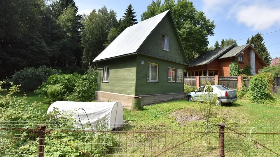 Фото: freepik.com