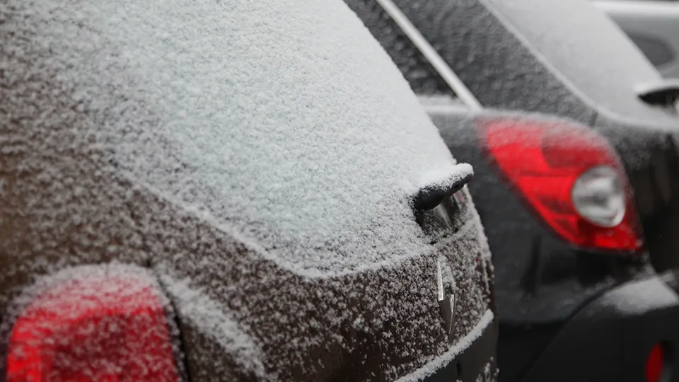 Фото: медиасток.рф